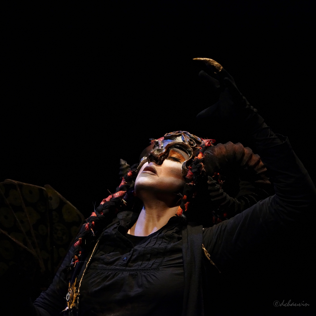2010-06-usine-chat-OK (19).jpg